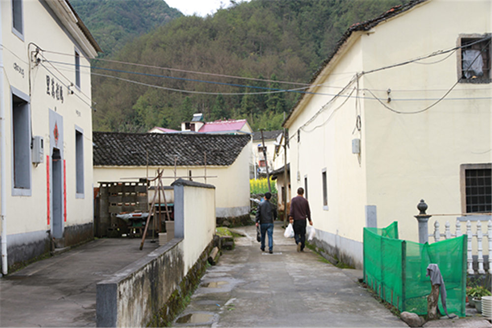 1491447341138149.jpg IMG_6555.jpg