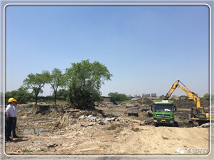 1495092853667939.jpg 2.jpg