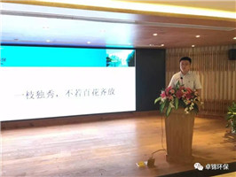 1499929730991280.jpg 5.jpg