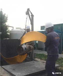 1501831439113806.jpg 3.jpg