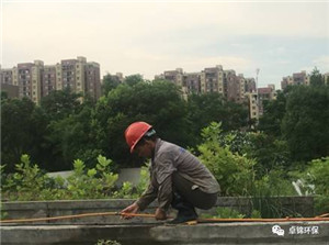 1501832539121349.jpg 2.jpg