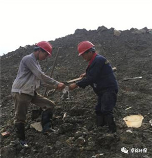 1501832557647370.jpg 4.jpg