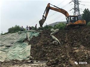 1501832580654341.jpg 6.jpg