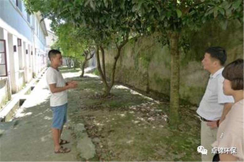 1501832775483849.jpg 1.jpg