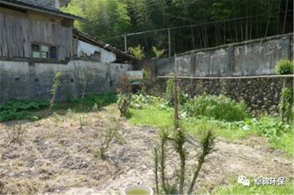 1501832788800434.jpg 2.jpg