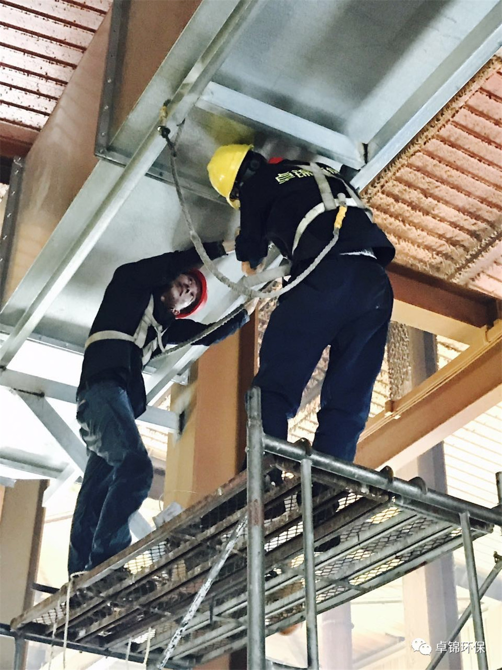 1503388716734122.jpg 3.jpg