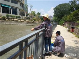 1504250434734535.jpg 9.jpg