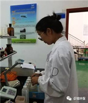 1504250601467774.jpg 12.jpg