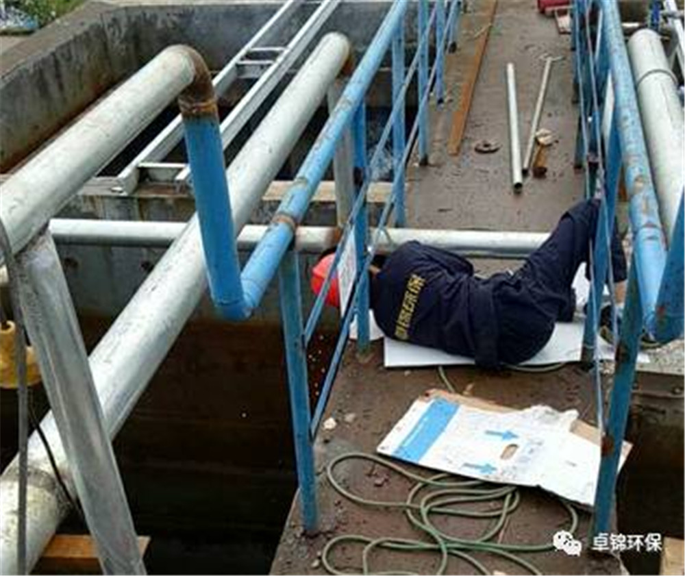 1504251245146967.jpg 3.jpg