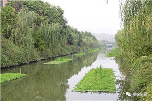 1504750432234297.jpg 4.jpg