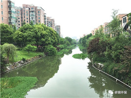 1504750440748718.jpg 5.jpg