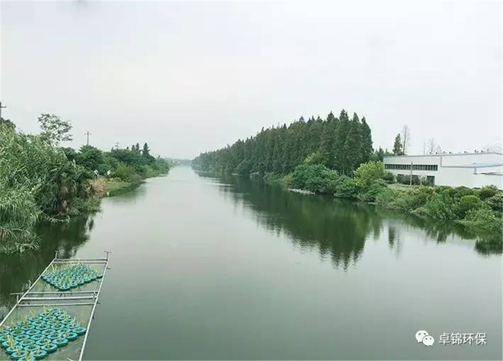 1504750910203378.jpg 6.jpg