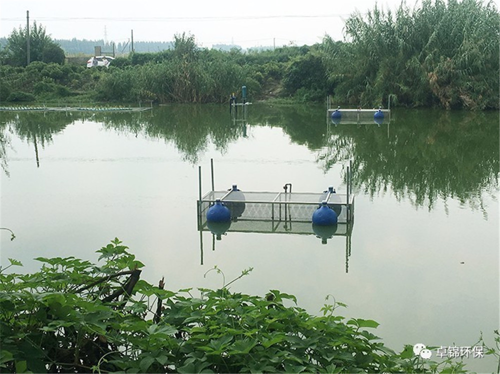 1504750916537595.jpg 7.jpg