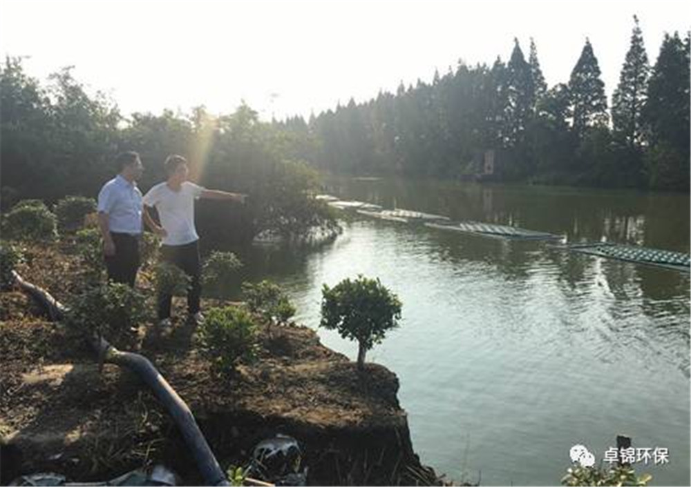 1505370515946767.jpg 5.jpg