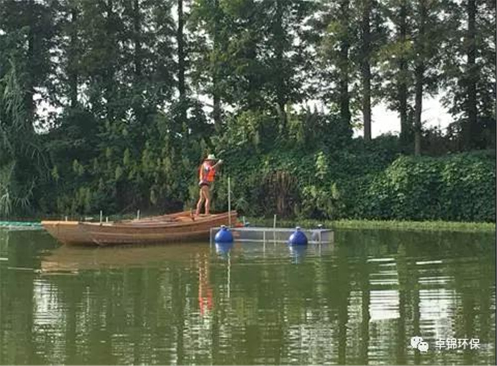 1508223634340059.jpg 3.jpg