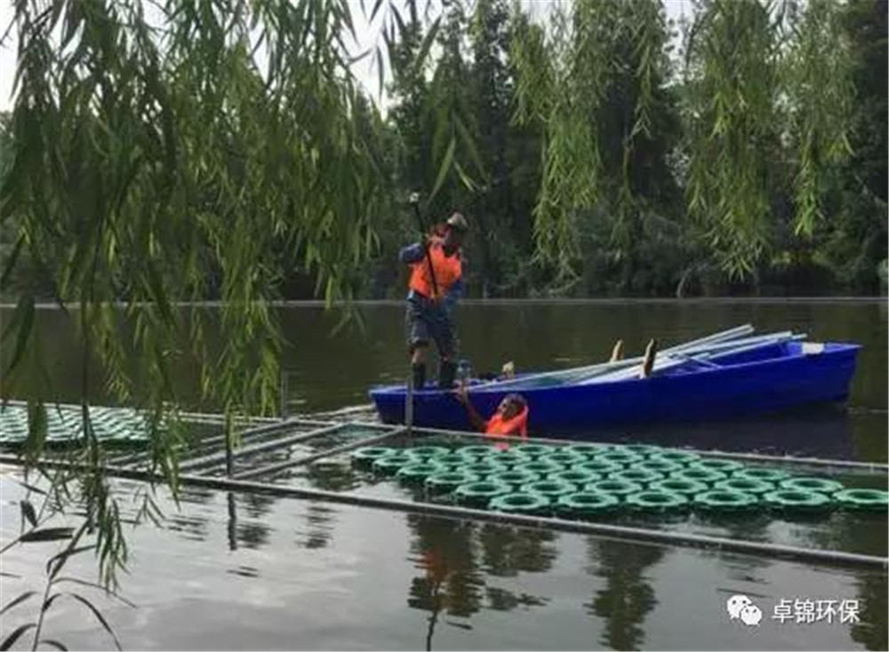 1508223655497621.jpg 4.jpg