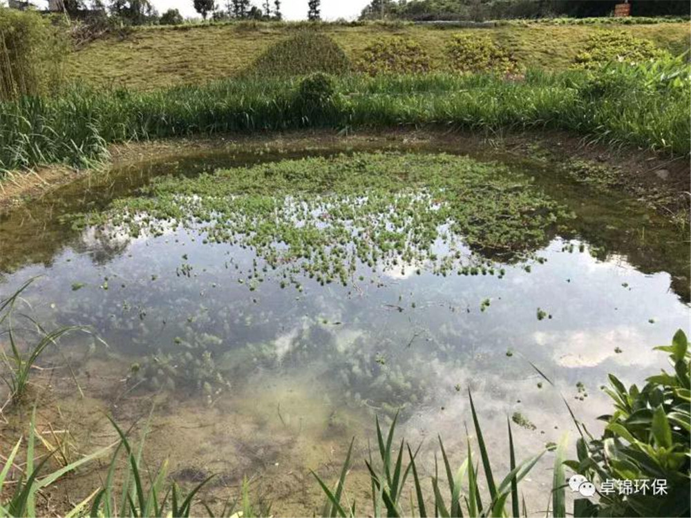 1511491701815395.jpg 8.jpg