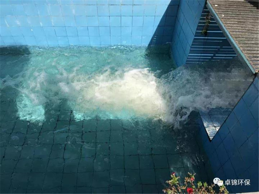 1511491747470368.jpg 9.jpg